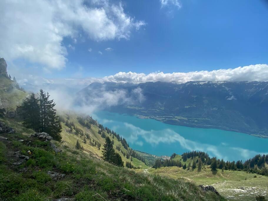 Chalet Mignon - Your Vacation Oasis At Lake Brienz Bönigen Екстериор снимка