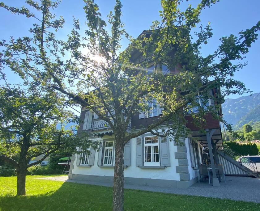 Chalet Mignon - Your Vacation Oasis At Lake Brienz Bönigen Екстериор снимка